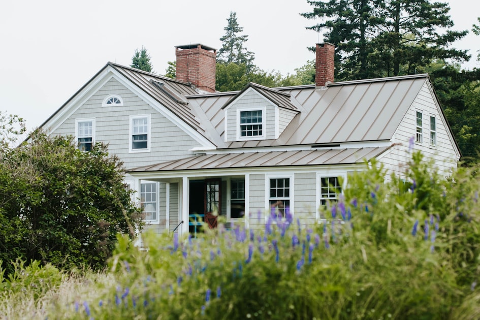 Choosing the Right Windows and Doors